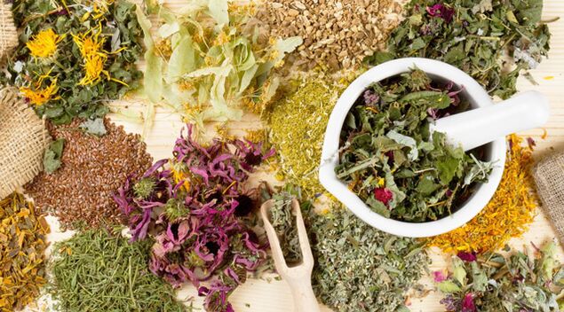 Heilpflanzen, die im Kampf gegen Diabetes helfen